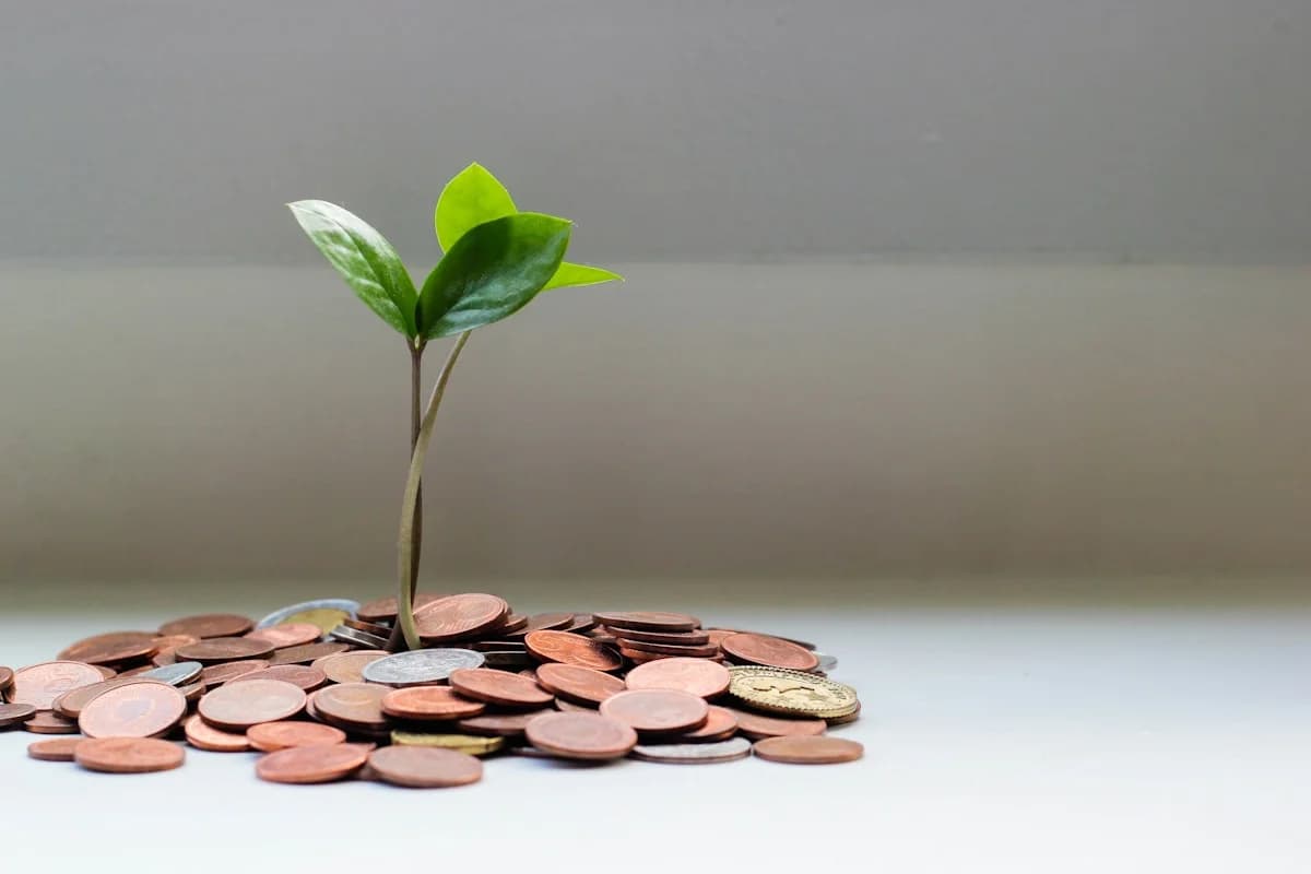 Professional Financial Health Check